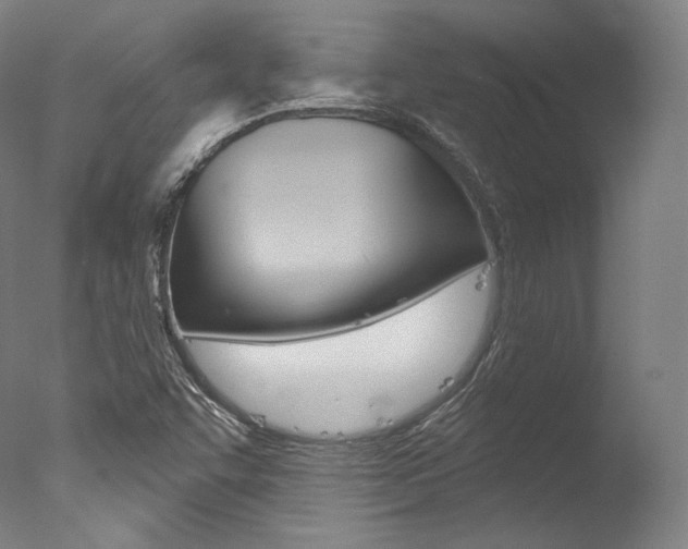 X0000077411455200610201409