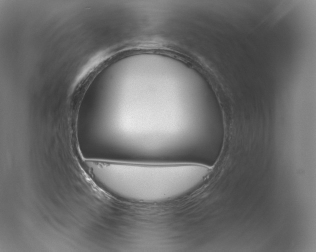 X0000077411456200610201409