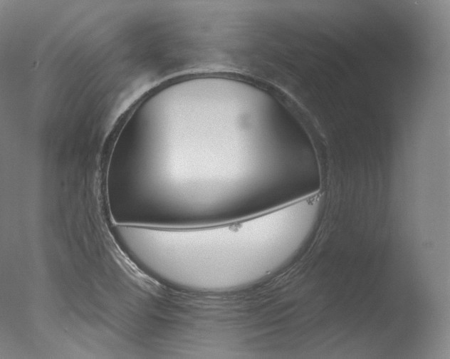 X0000077411460200610201409