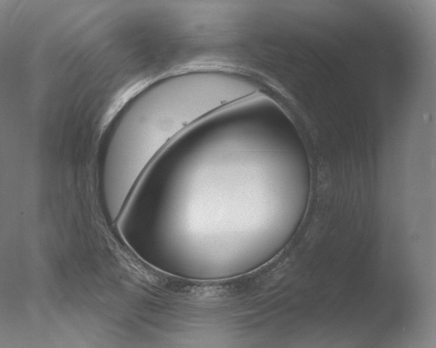 X0000077411461200610201409