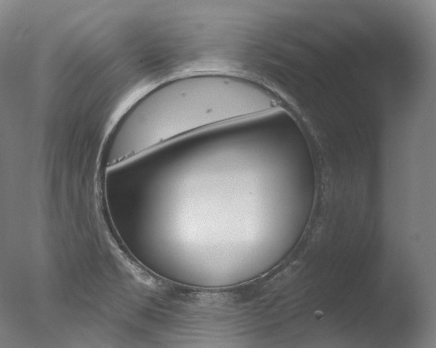 X0000077411469200610201409