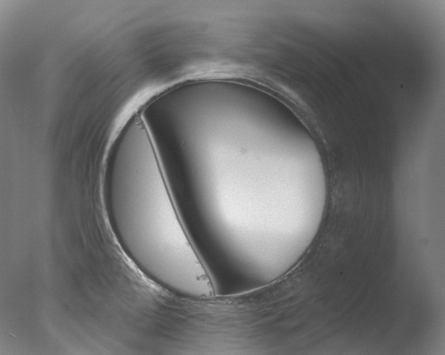 X0000077411472200610201409