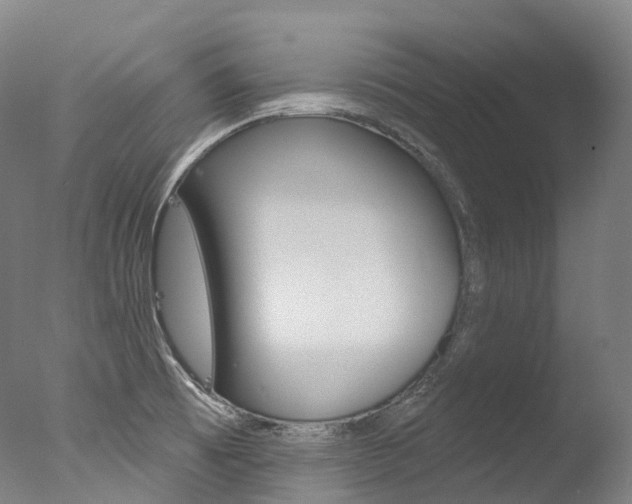 X0000077411473200610201409