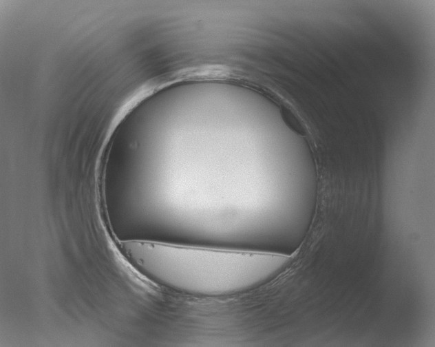 X0000077411475200610201409