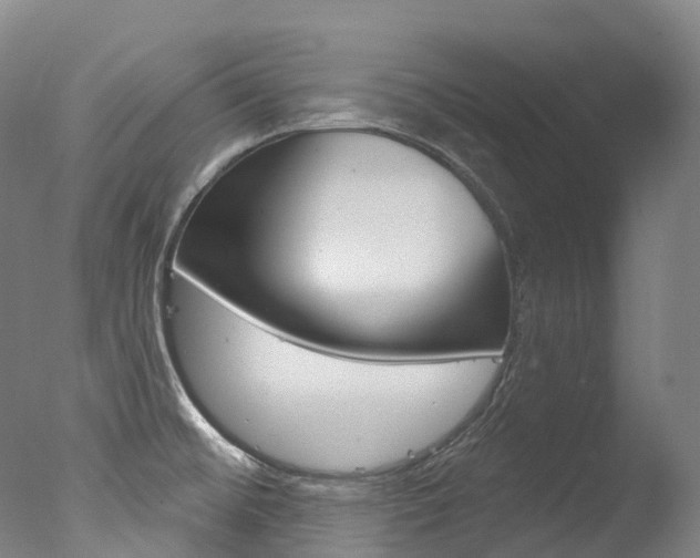 X0000077411476200610201409