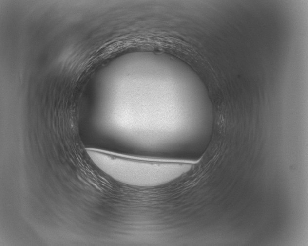 X0000077411490200610201408