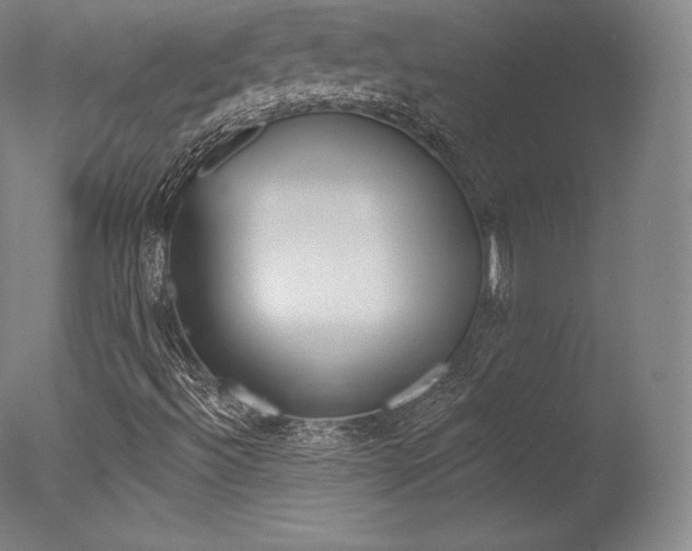 X0000077411492200610201408