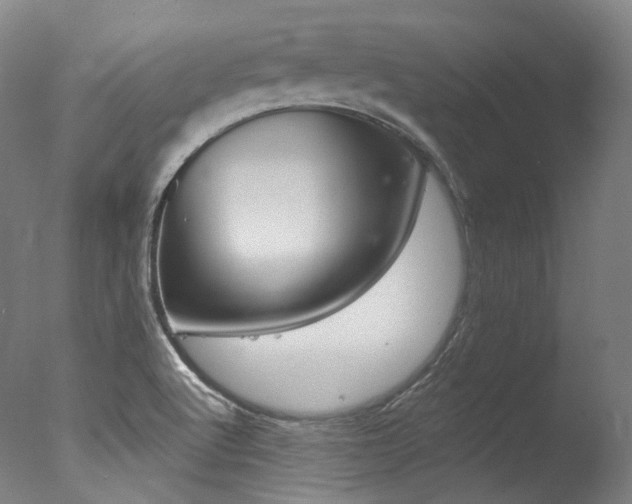 X0000077411512200610201408