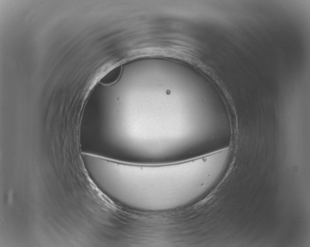 X0000077411529200610201409