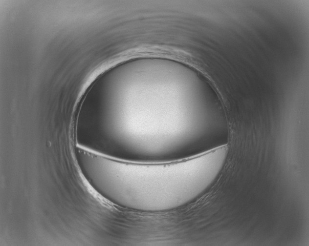 X0000077411531200610201409