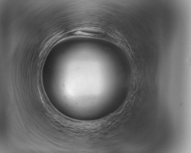 X0000077410001200610201513