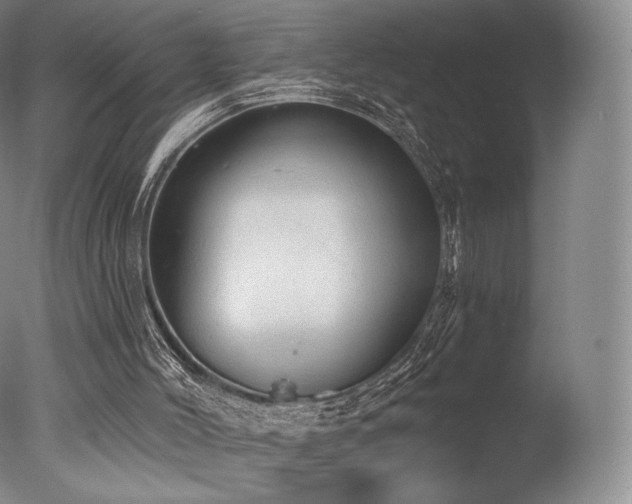 X0000077410004200610201513