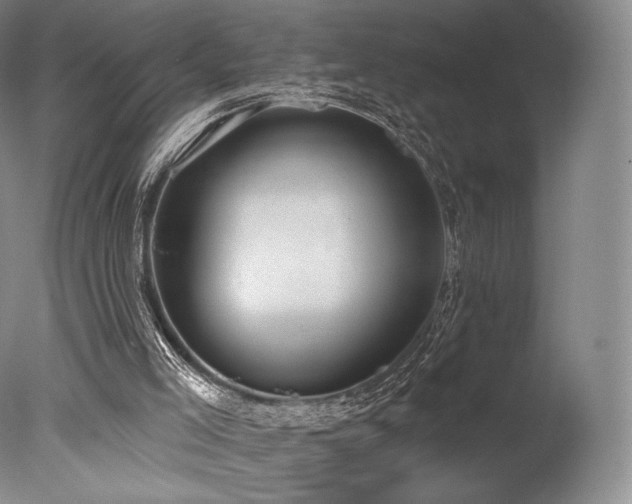 X0000077410005200610201513
