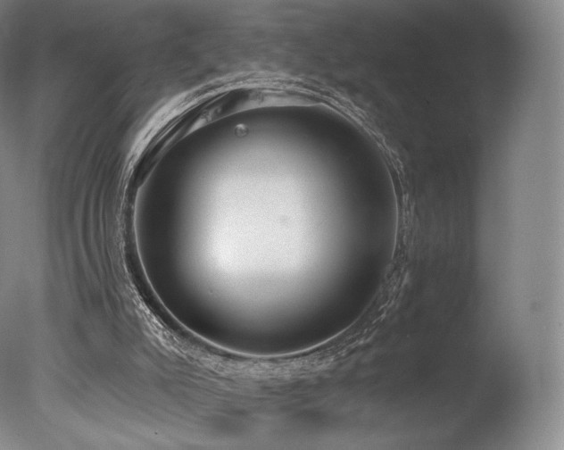 X0000077410007200610201513