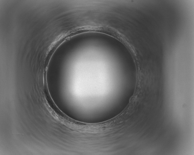 X0000077410011200610201513