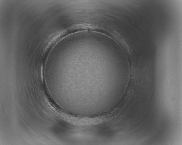 X0000077410014200610201513