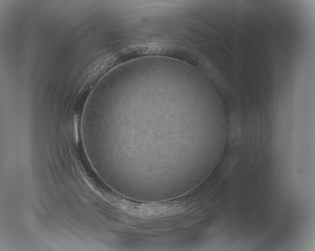 X0000077410022200610201512