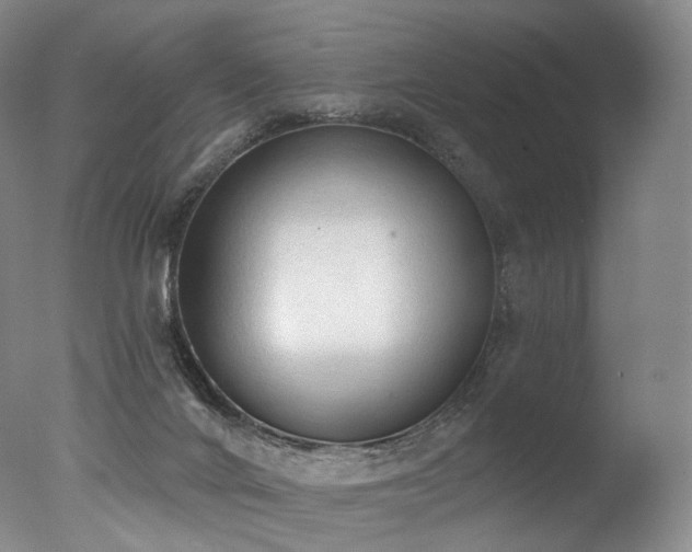 X0000077410024200610201512