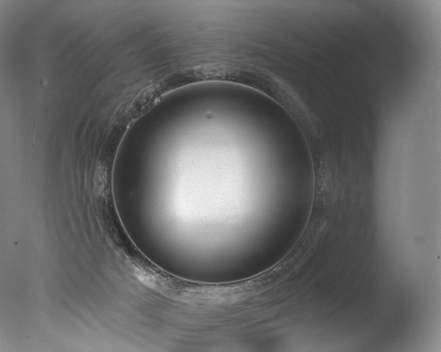 X0000077410025200610201512