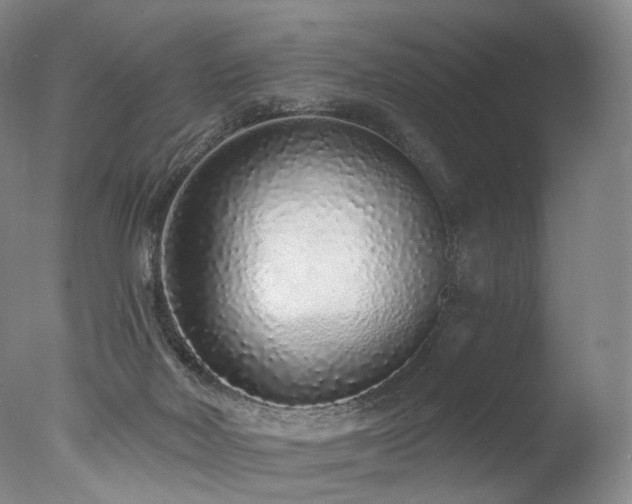 X0000077410026200610201512