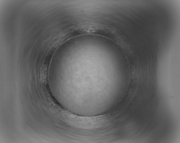 X0000077410030200610201512