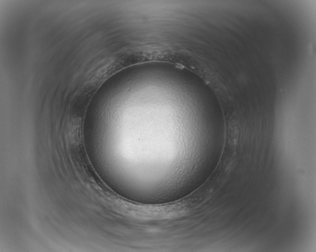 X0000077410034200610201512
