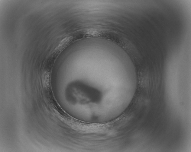 X0000077410036200610201512