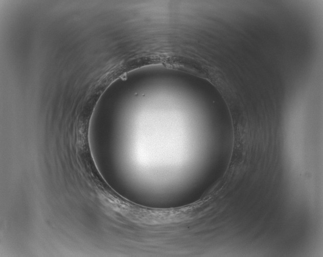 X0000077410037200610201512