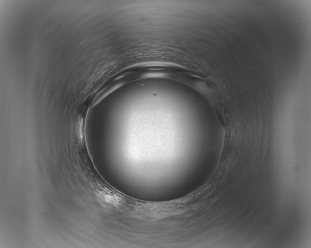 X0000077410041200610201512