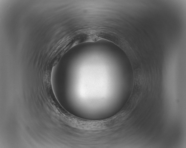 X0000077410044200610201512