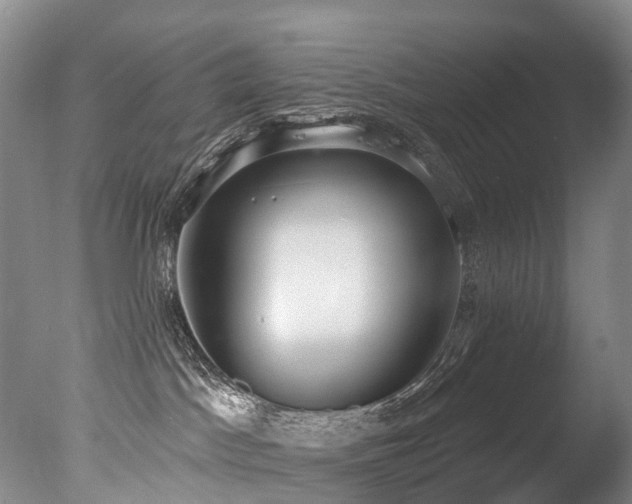 X0000077410045200610201512