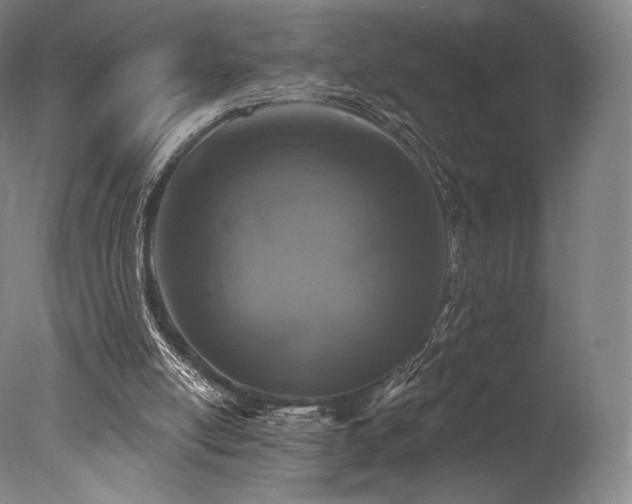 X0000077410054200610201511