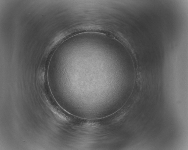 X0000077410063200610201511