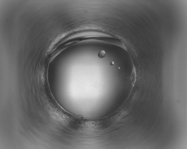 X0000077410064200610201511