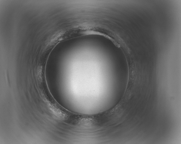 X0000077410066200610201512