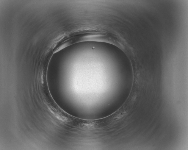 X0000077410068200610201512