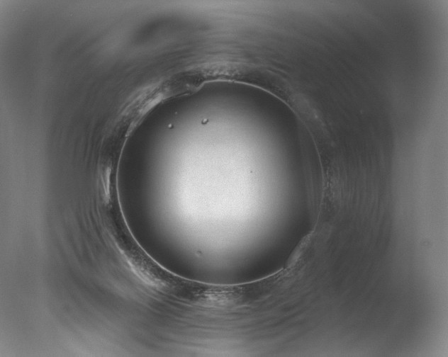 X0000077410070200610201512
