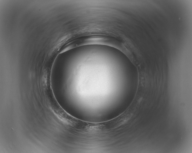 X0000077410072200610201512