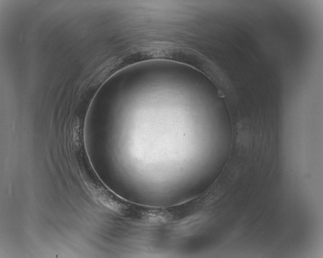 X0000077410073200610201512