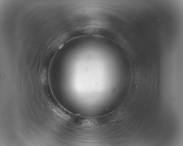 X0000077410077200610201512