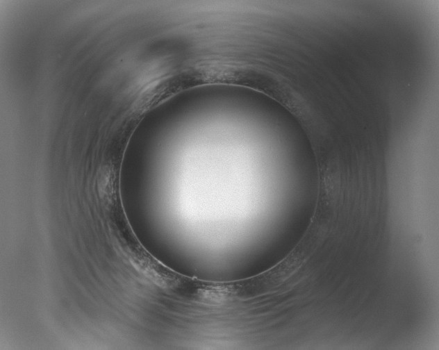 X0000077410079200610201512