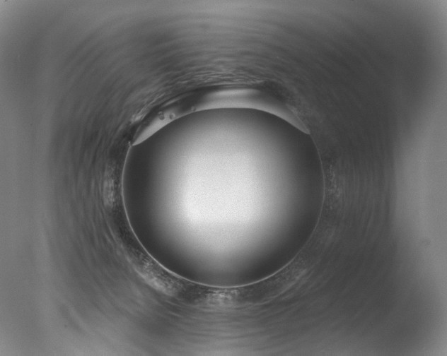 X0000077410080200610201512