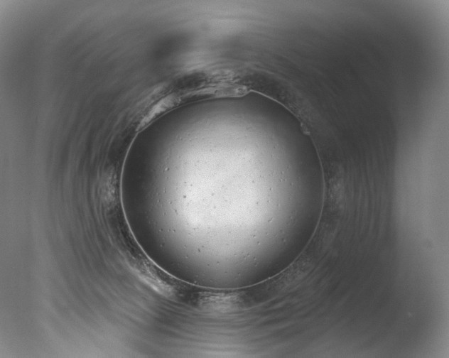 X0000077410081200610201512