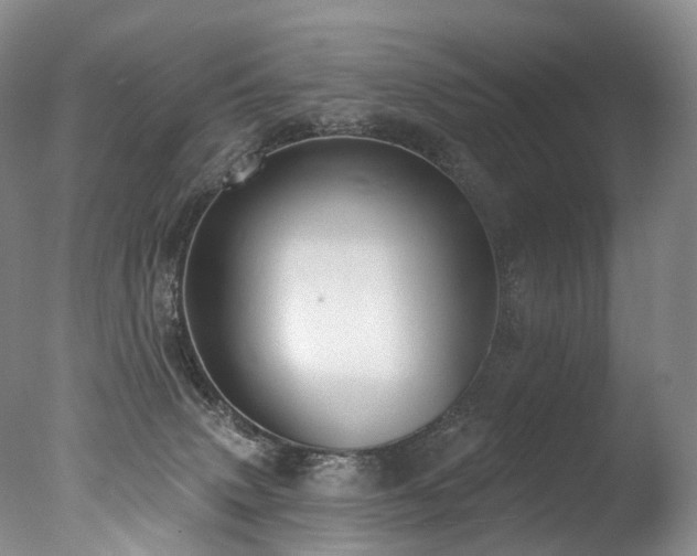 X0000077410083200610201512
