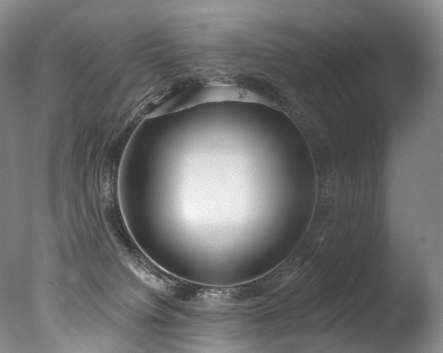 X0000077410084200610201512