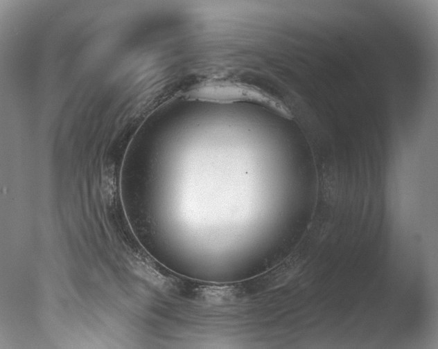 X0000077410085200610201512