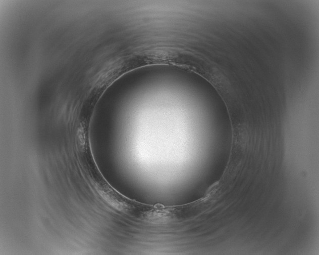 X0000077410086200610201512
