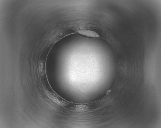 X0000077410087200610201512