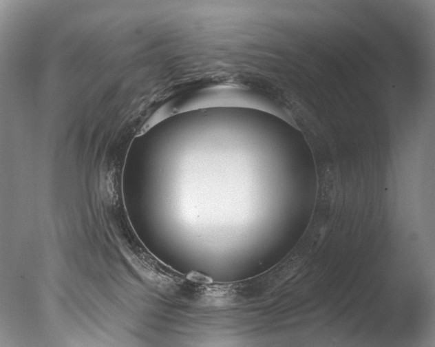 X0000077410088200610201512