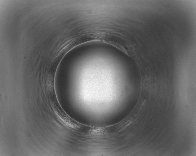 X0000077410092200610201512